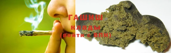хмурый Белокуриха
