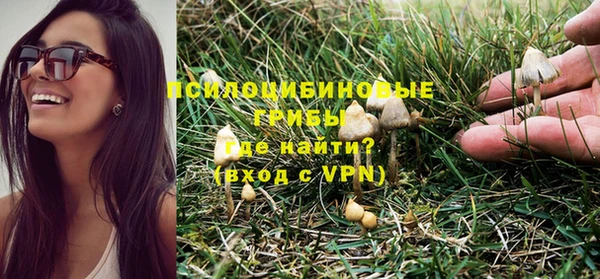 эйфоретик Белоозёрский
