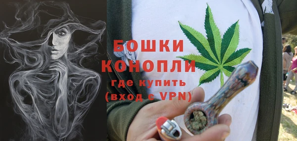 PSILOCYBIN Беломорск