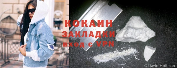 хмурый Белокуриха